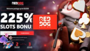 Revisão Do RedDogCasino: jogos, bônus e segurança